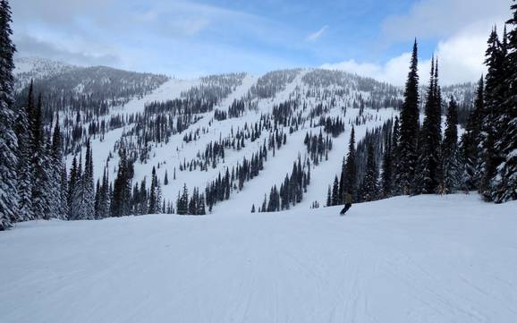 Central Kootenay: Taille des domaines skiables – Taille Whitewater – Nelson