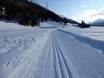 Ski nordique Suisse – Ski nordique Languard – Pontresina
