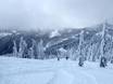 Domaines skiables pour skieurs confirmés et freeriders Canada – Skieurs confirmés, freeriders Red Mountain Resort – Rossland