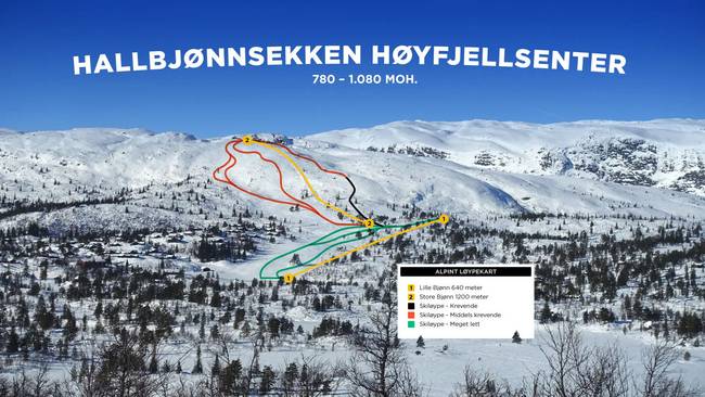 Hallbjønn Hallbjønn